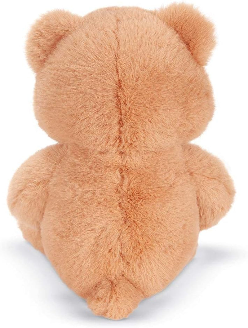 Small Teddy Bear – Cuddle Cub, 13 Inch